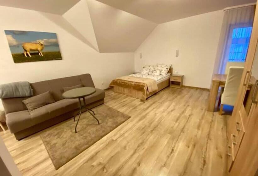 بنسيون Nasza Owczarzówka