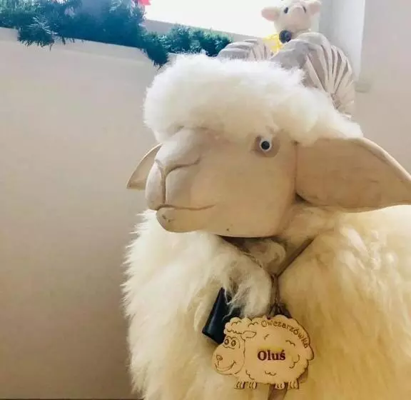 ペンション Nasza Owczarzówka