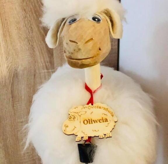 بنسيون Nasza Owczarzówka