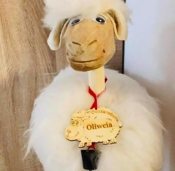ペンション Nasza Owczarzówka