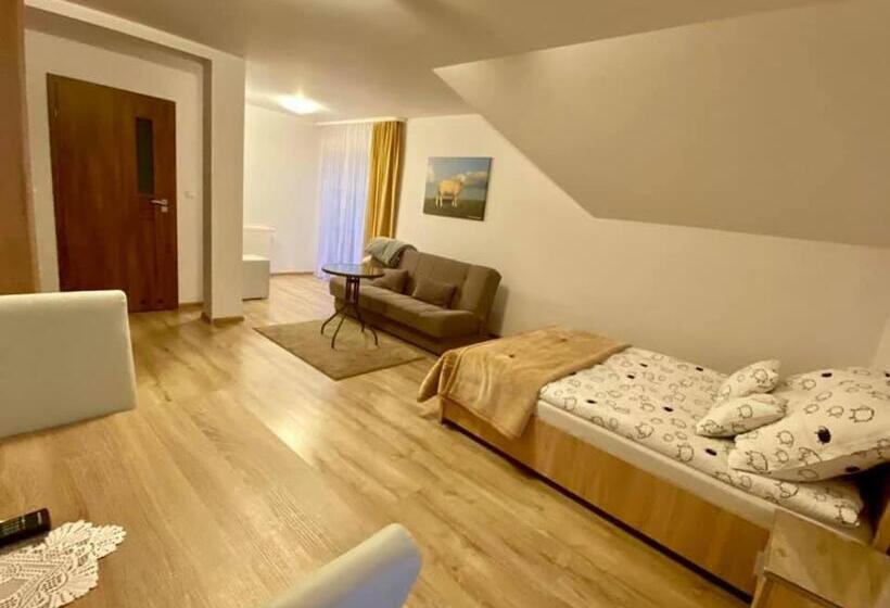 بنسيون Nasza Owczarzówka