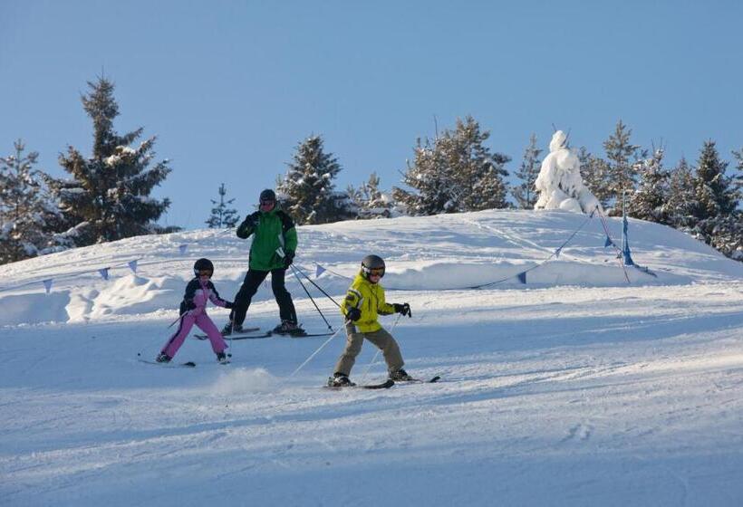Pensión Schronisko Pttk Orlica
