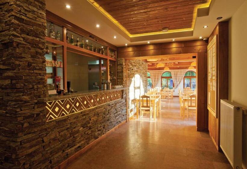 Pensión Schronisko Pttk Orlica