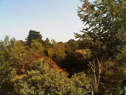 تختخواب و صبحانه Forest Gate Lodge