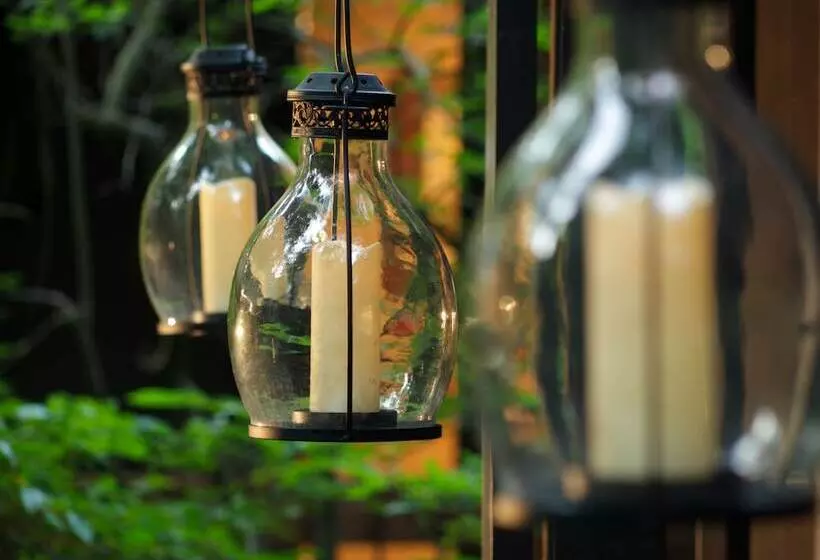 مبيت وإفطار The Inn At Honey Run