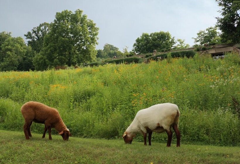 ベッドアンドブレックファースト The Inn At Honey Run