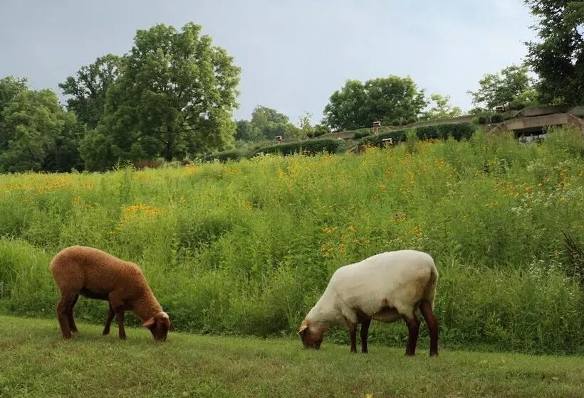 مبيت وإفطار The Inn At Honey Run