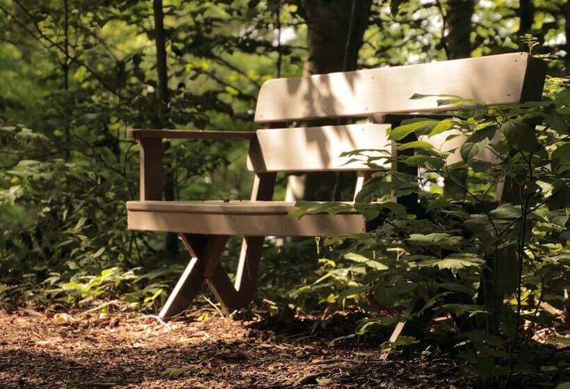 ベッドアンドブレックファースト The Inn At Honey Run