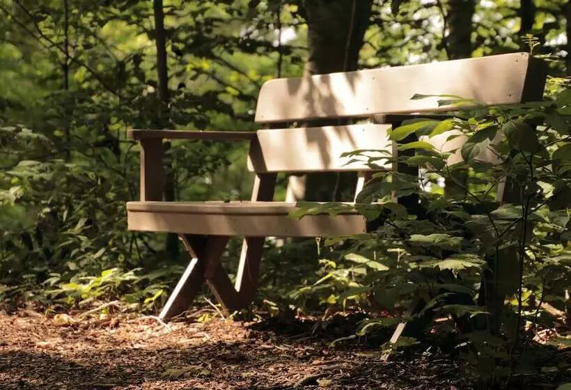 مبيت وإفطار The Inn At Honey Run