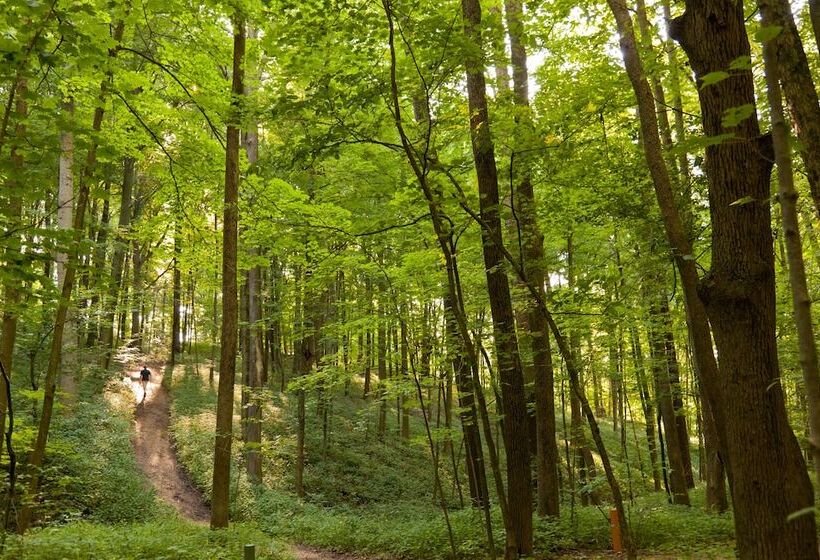 ベッドアンドブレックファースト The Inn At Honey Run