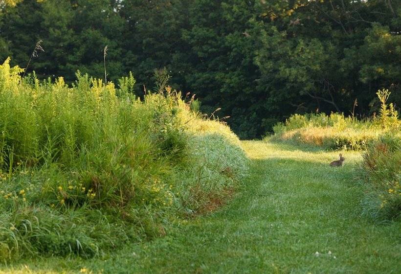 ベッドアンドブレックファースト The Inn At Honey Run