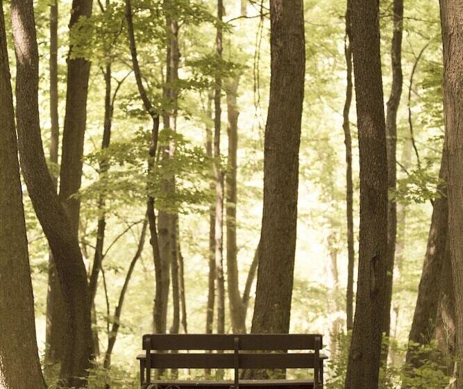 ベッドアンドブレックファースト The Inn At Honey Run