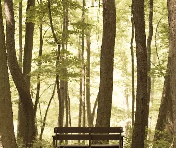 مبيت وإفطار The Inn At Honey Run