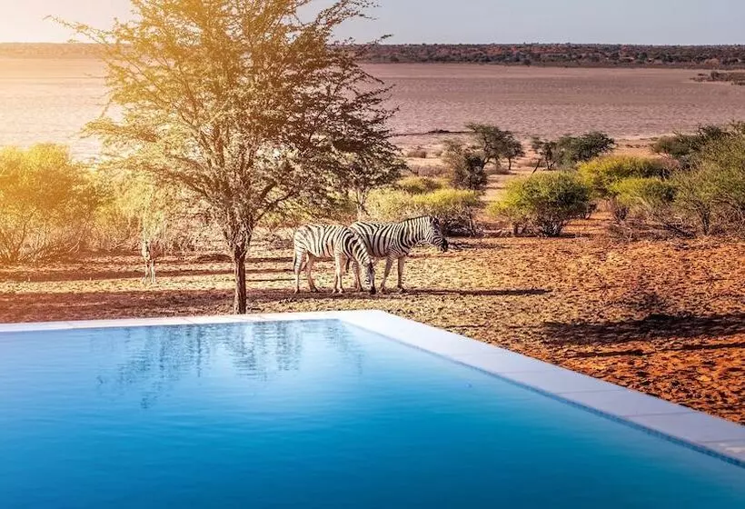 هتل Bagatelle Kalahari Game Ranch
