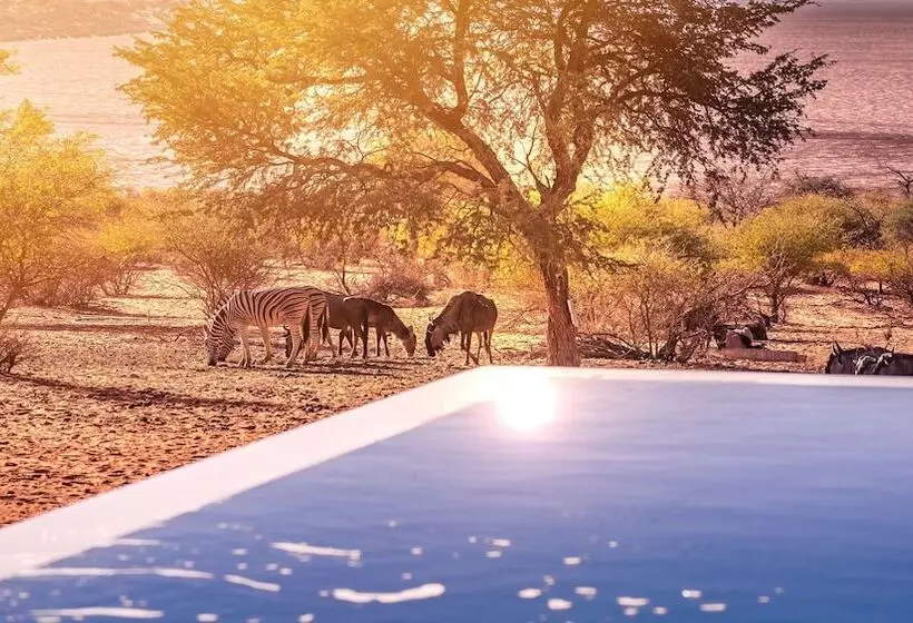 هتل Bagatelle Kalahari Game Ranch