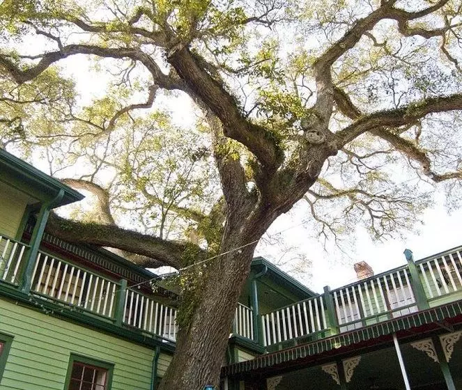 酒店 Florida House Inn