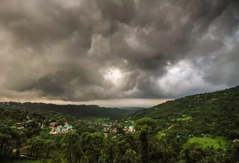 Отель Pong View