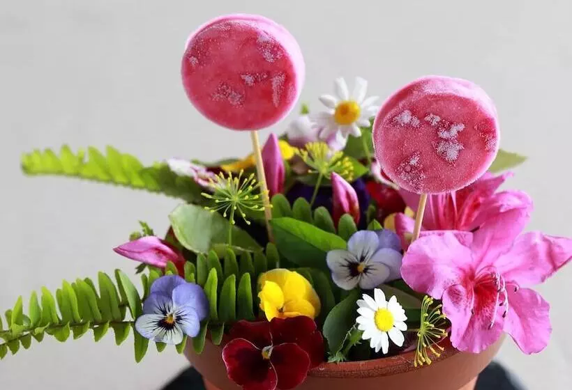 Sankara Hotel & Spa Yakushima