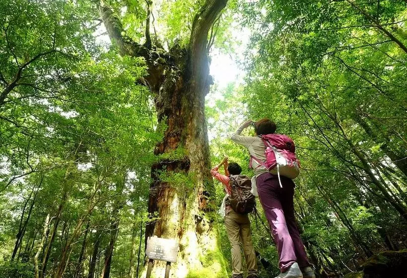 Sankara Hotel & Spa Yakushima