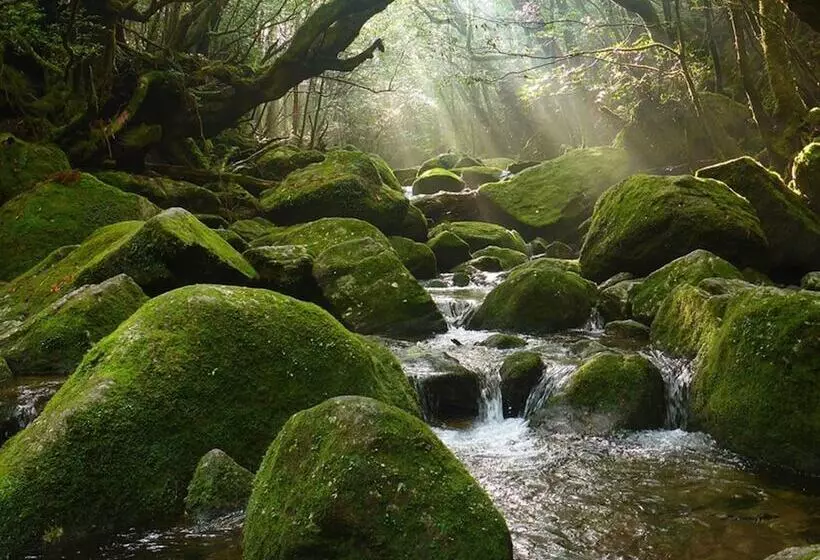 Sankara Hotel & Spa Yakushima