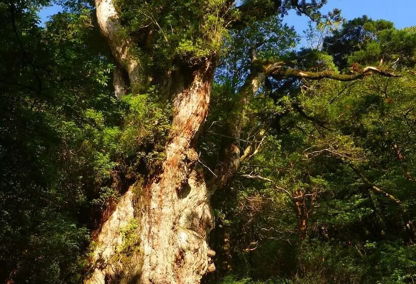 Sankara Hotel & Spa Yakushima