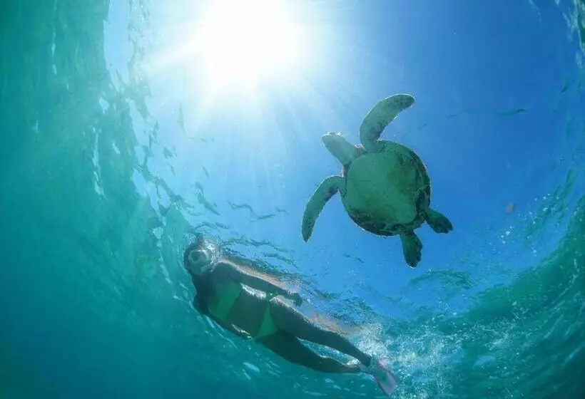 Отель Shigira Bayside Suite Allamanda