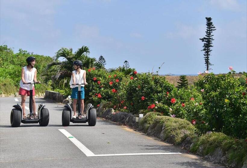 בית מלון כפרי Shigira Bayside Suite Allamanda