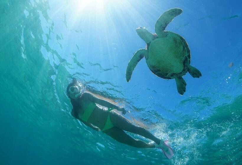 בית מלון כפרי Shigira Bayside Suite Allamanda