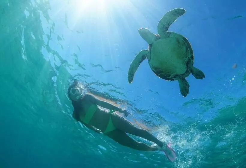 Отель Shigira Bayside Suite Allamanda