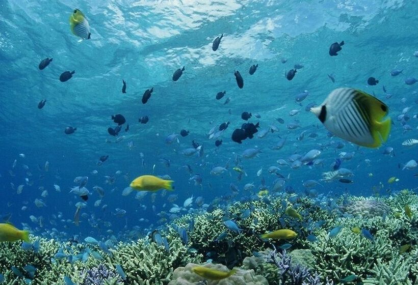 בית מלון כפרי Shigira Bayside Suite Allamanda