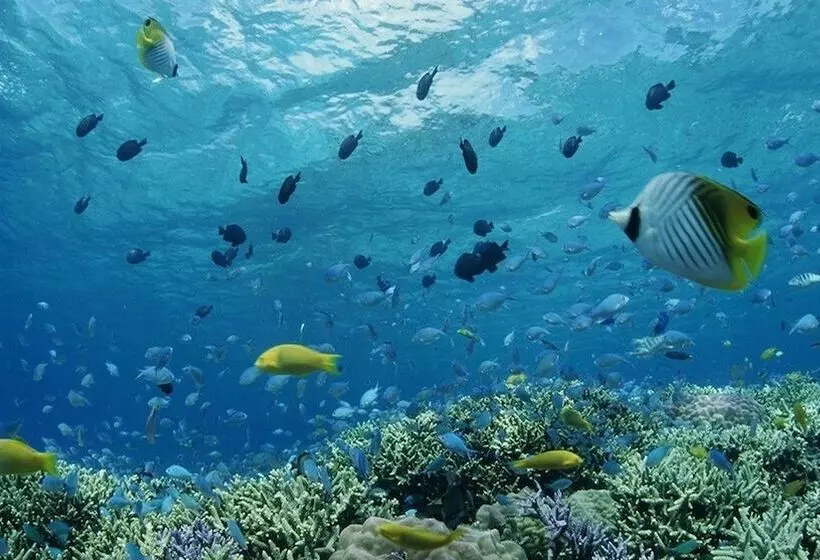 Отель Shigira Bayside Suite Allamanda