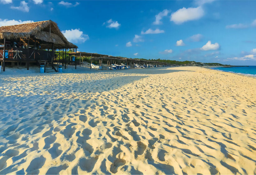 هتل Valentin Perla Blanca - Adults Only