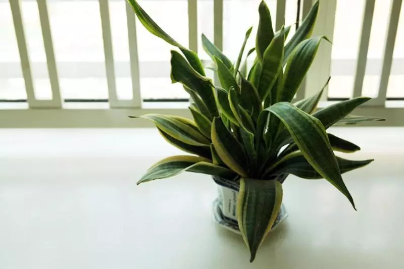 Nanjing Kaibin Apartmentchengkai Yueshi Branch