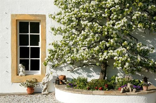 Pensjonat Letham House