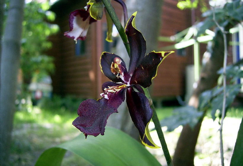 Planula Bed & Breakfast Retreat