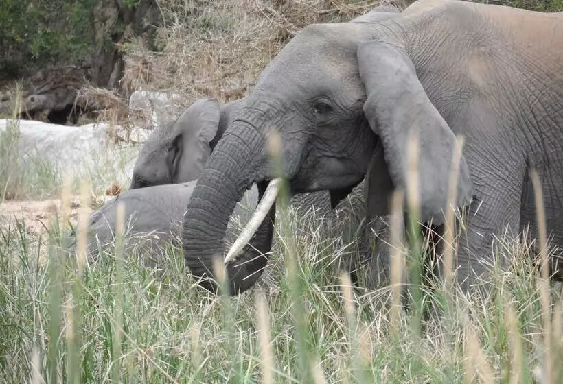 Shikwari Nature Reserve