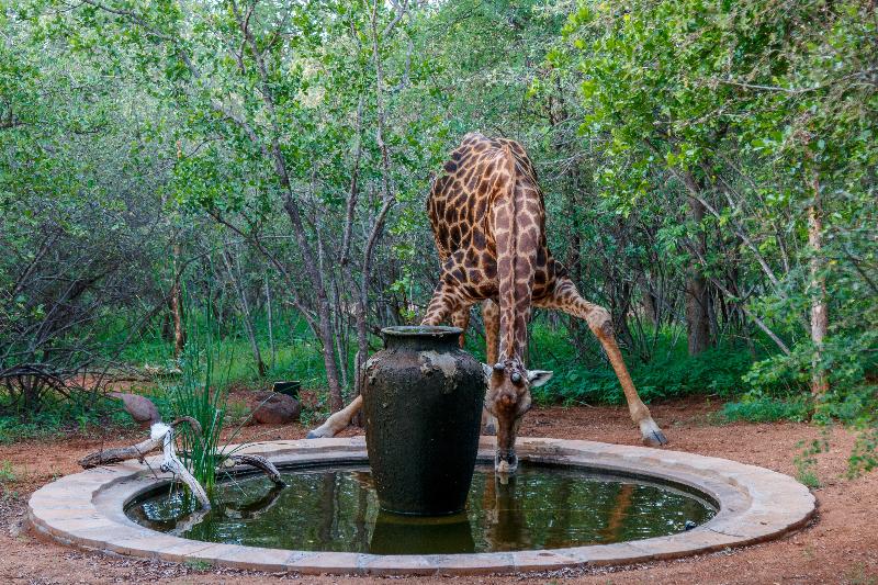 Shikwari Nature Reserve