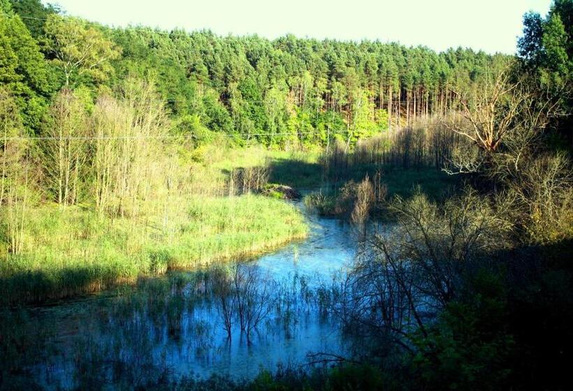 הוסטל Zajazd U Sosny