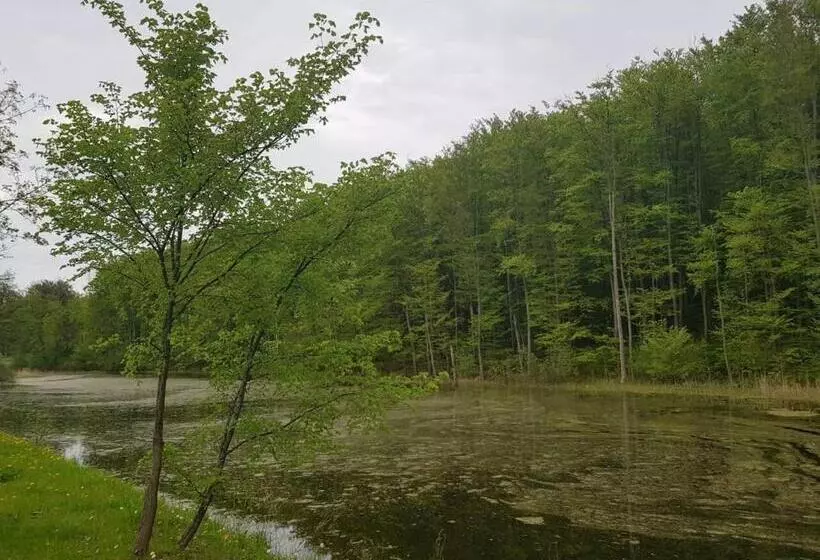 Aamiaismajoitus (B&B) Ik 51