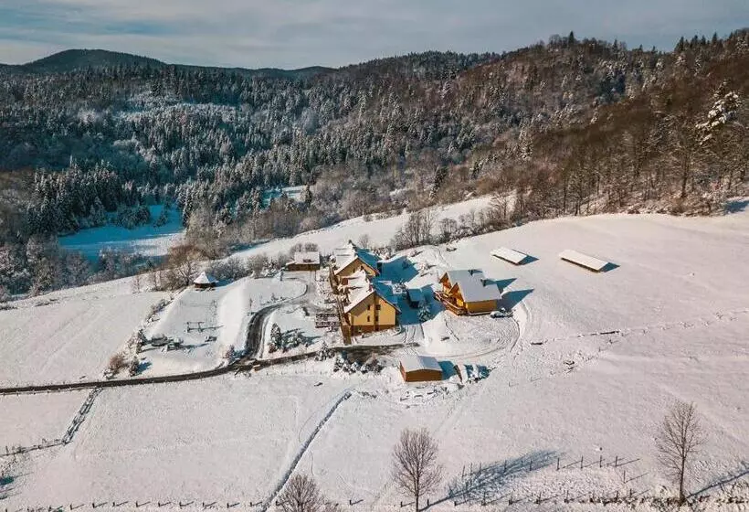 ベッドアンドブレックファースト Pod Brzozka