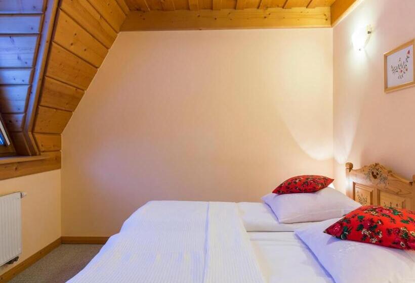 Bed and Breakfast Willa Góralskie Spanie