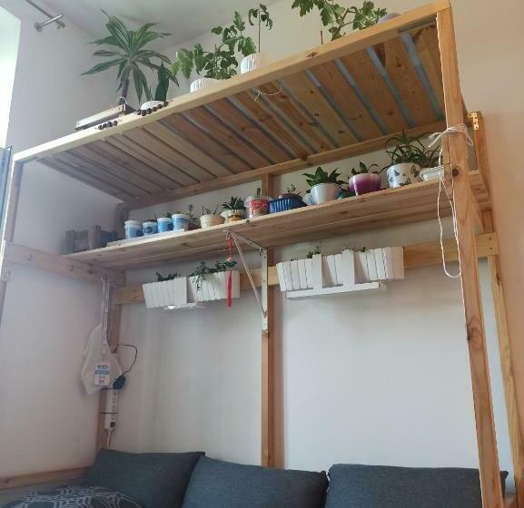 Evergreen Hostel Krakow