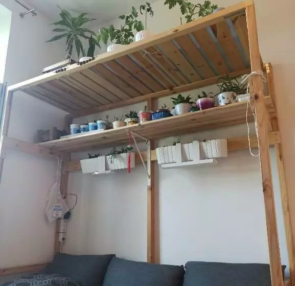 Evergreen Hostel Krakow