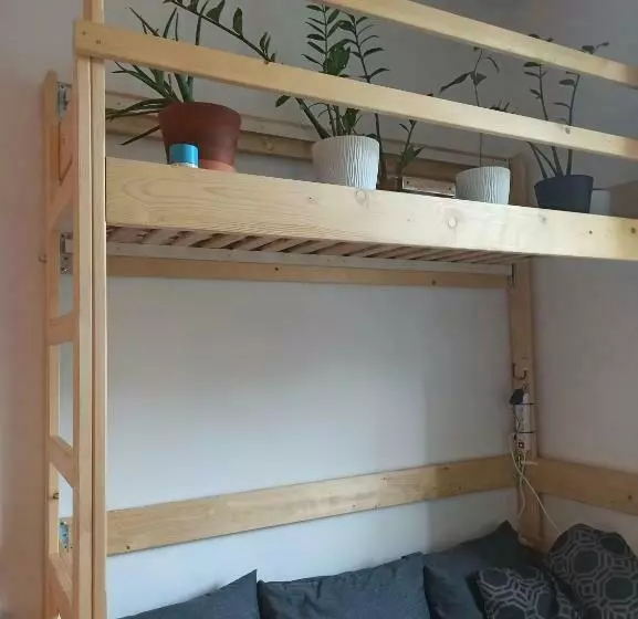 Evergreen Hostel Krakow