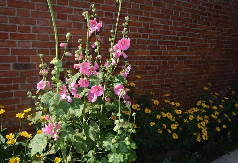 فندق Agro Przy Kominku