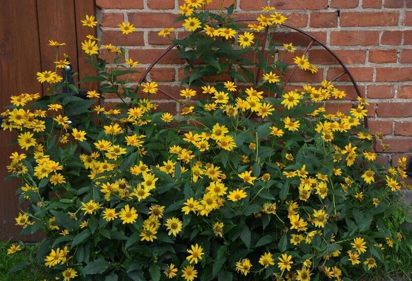 فندق Agro Przy Kominku