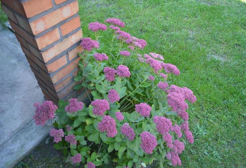 فندق Agro Przy Kominku