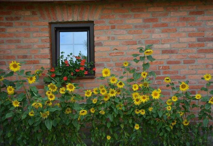 فندق Agro Przy Kominku