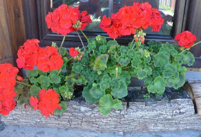 فندق Agro Przy Kominku