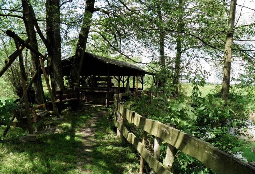 Отель Agroturystyka Pod Złotą Rybką